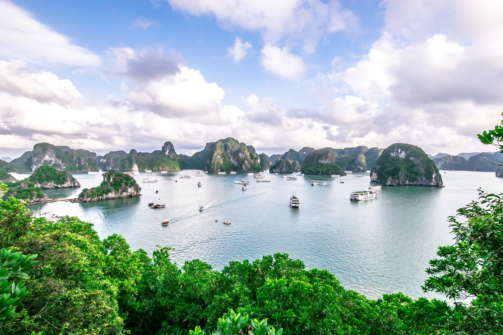 Bahía de Ha Long vietnam