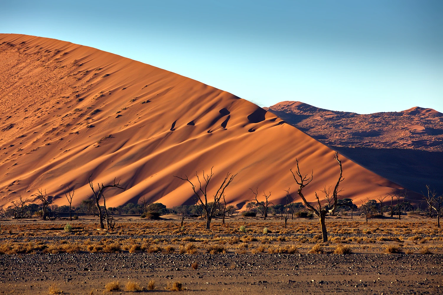 Dunas de Sossusvlei Nambibia