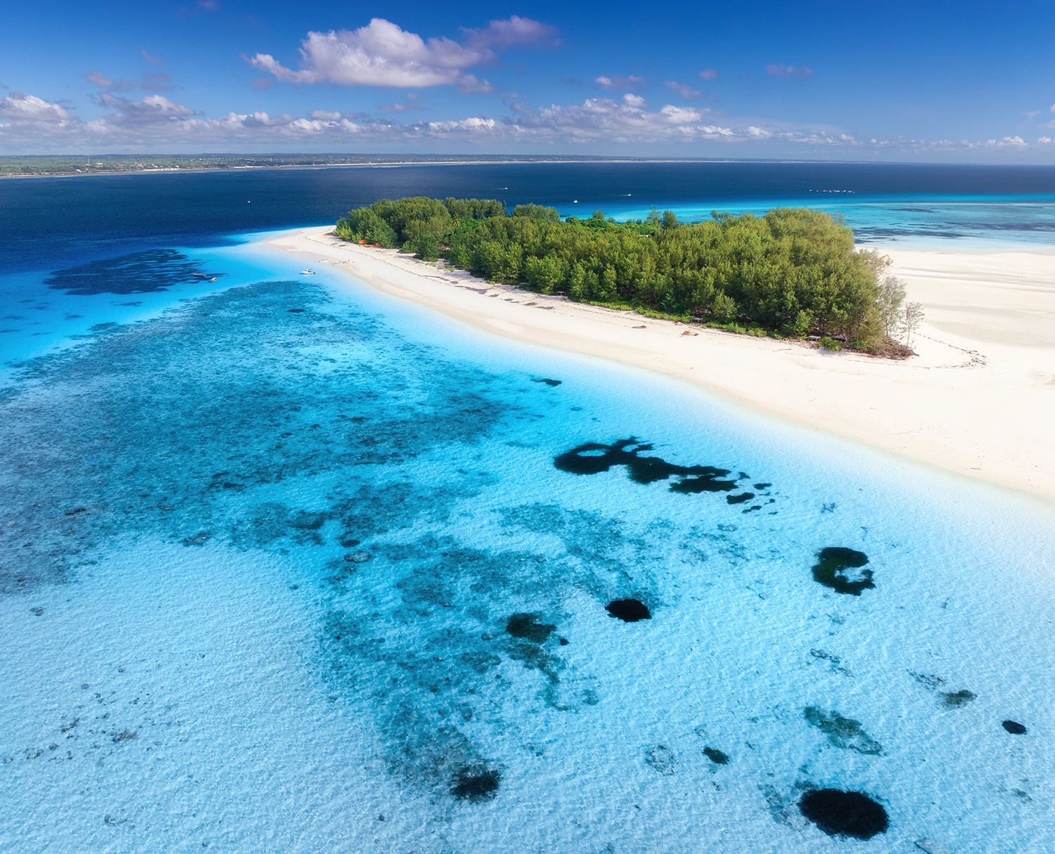 Isla Mnemba zanzibar