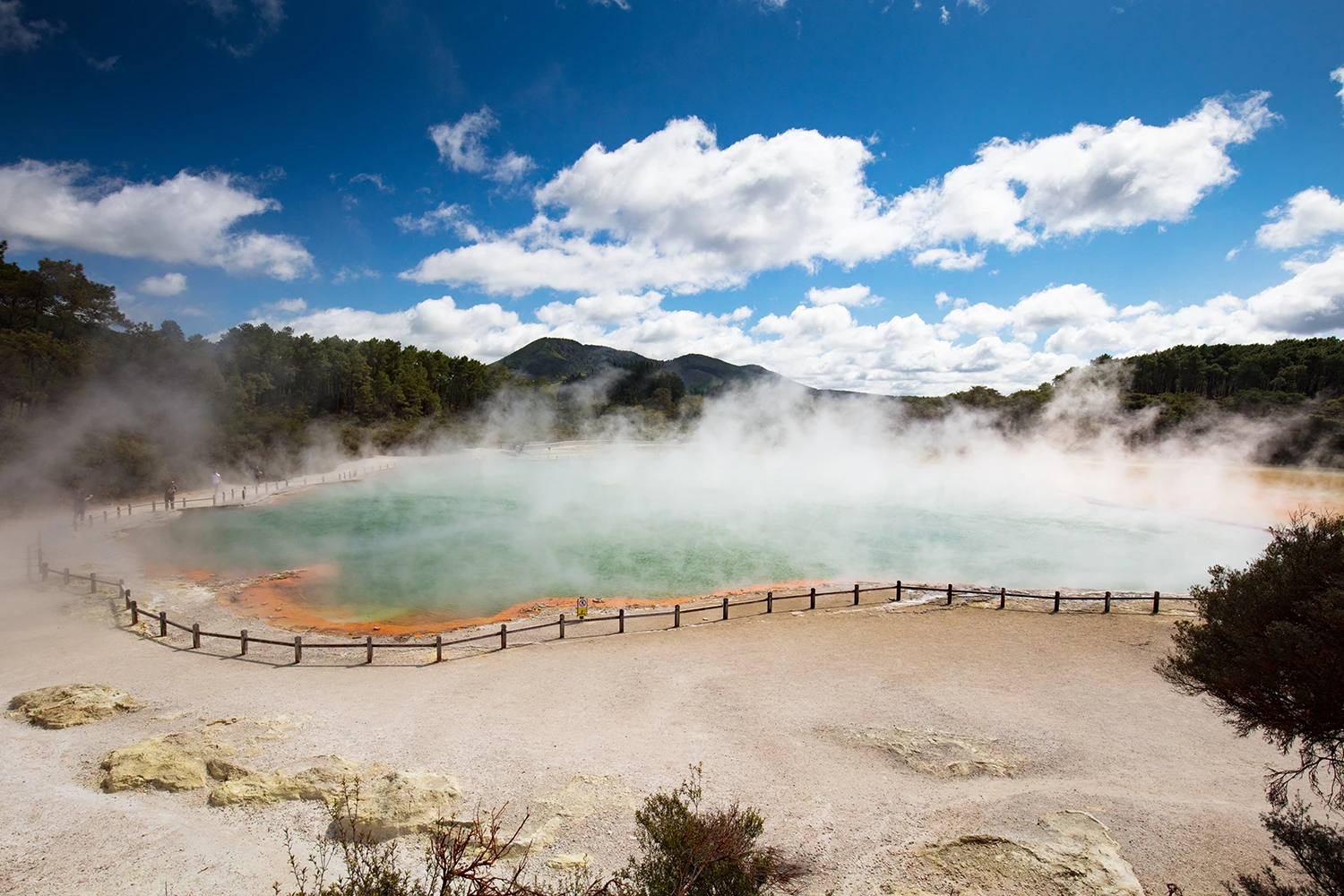 Rotorua nueva zelanda