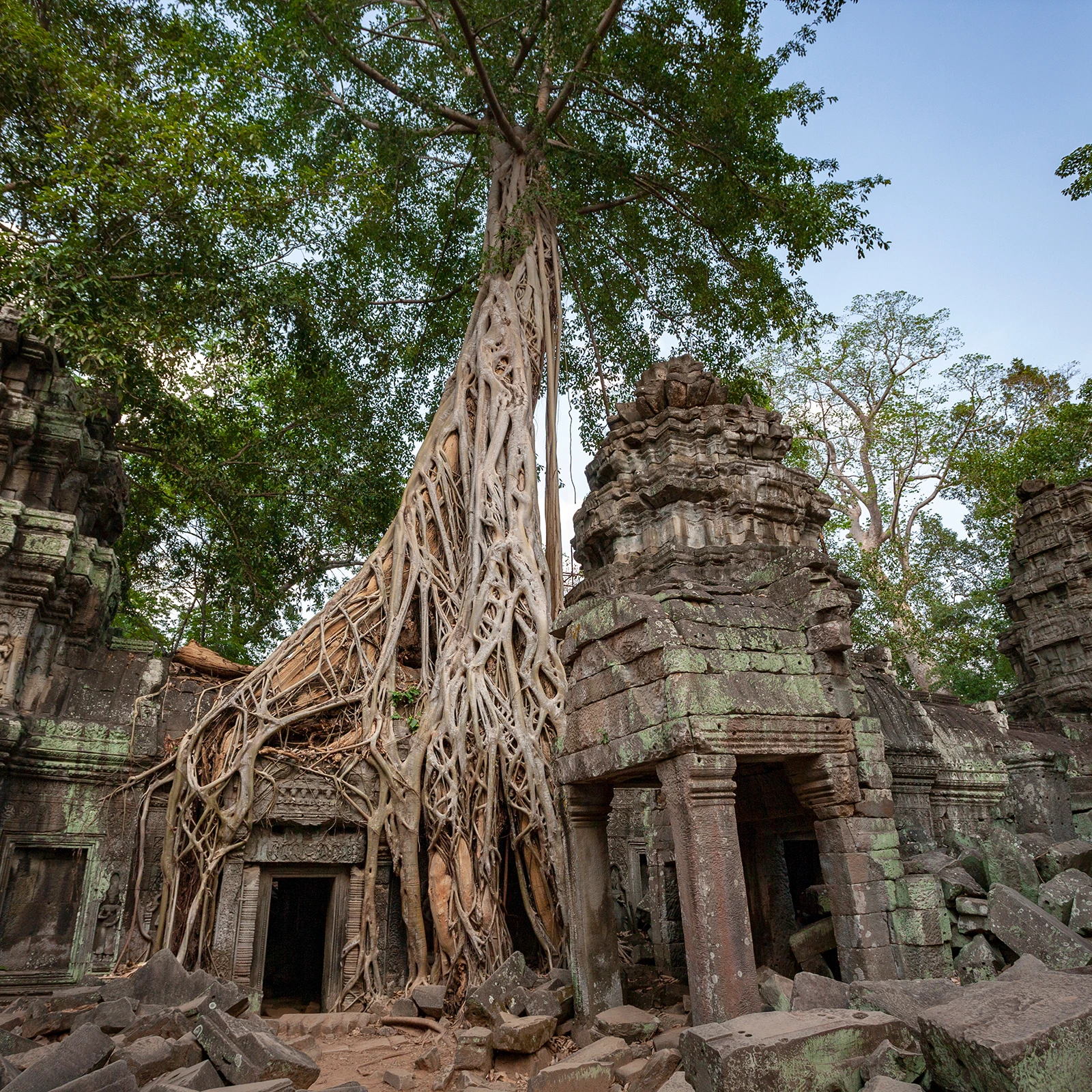 Ta Prohm - Angkor Wat - Camboya.
