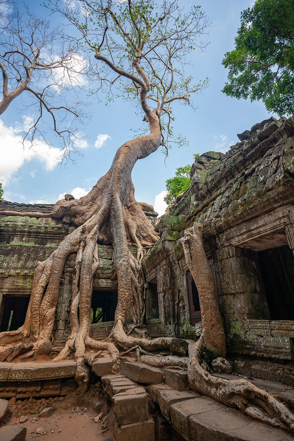 angkor wat camboya