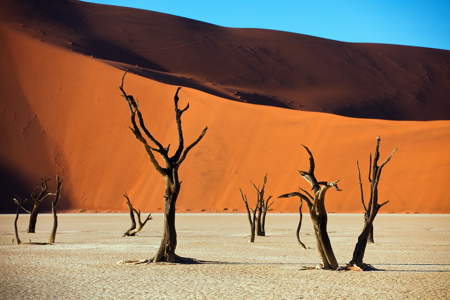 desierto namibia