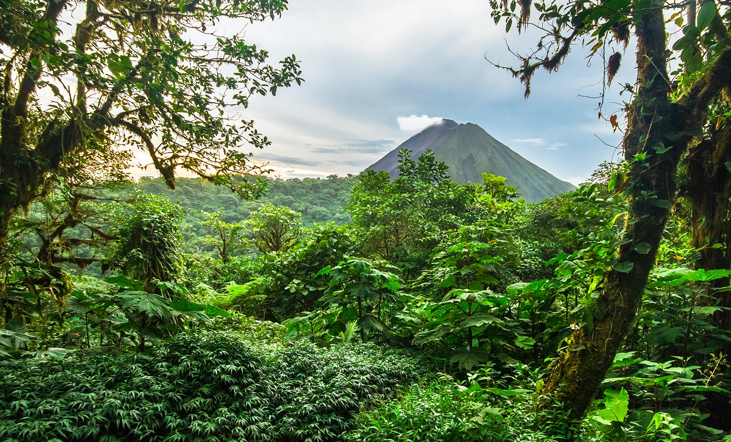 jungla-costa-rica-la-fortuna