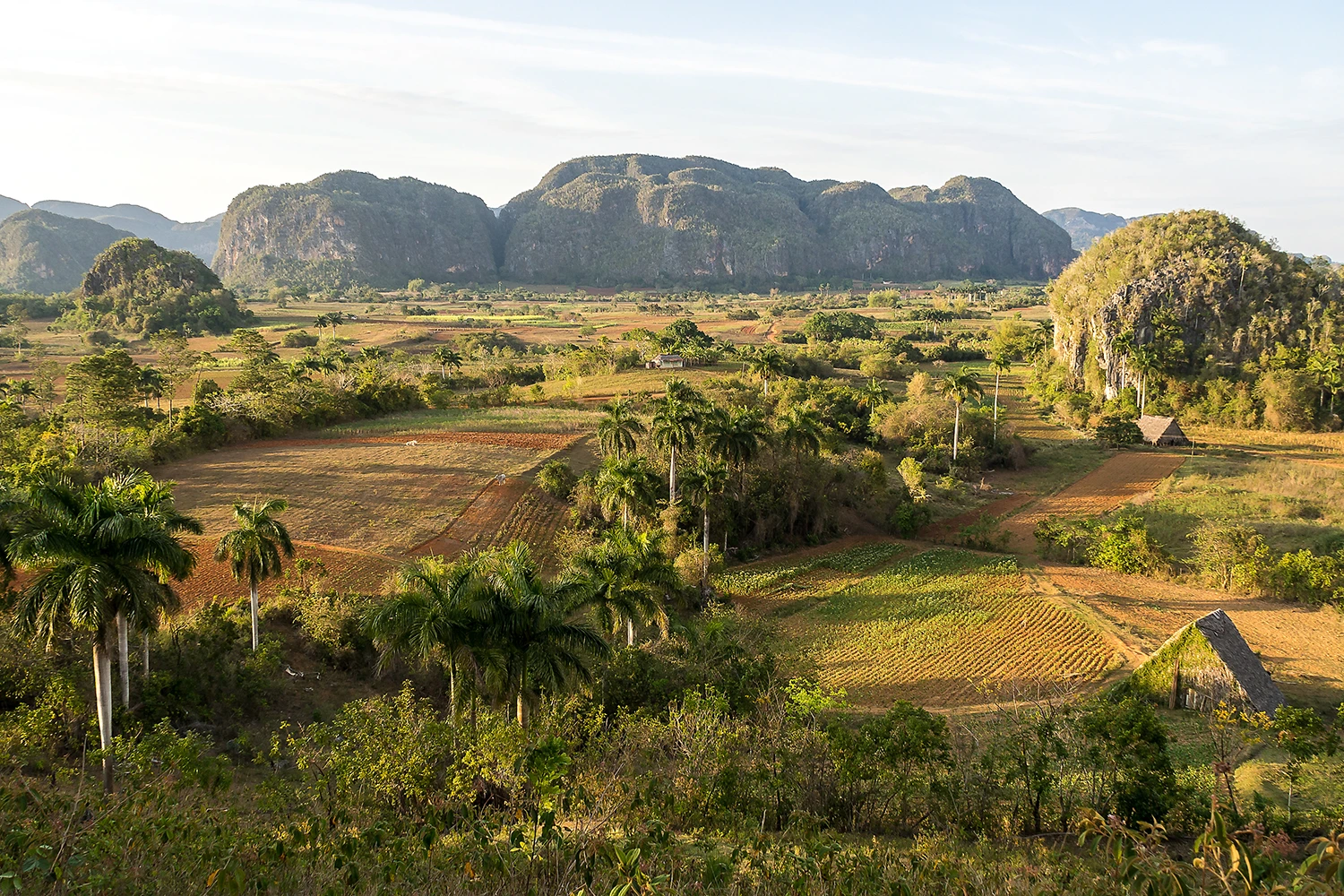 viñales cuba