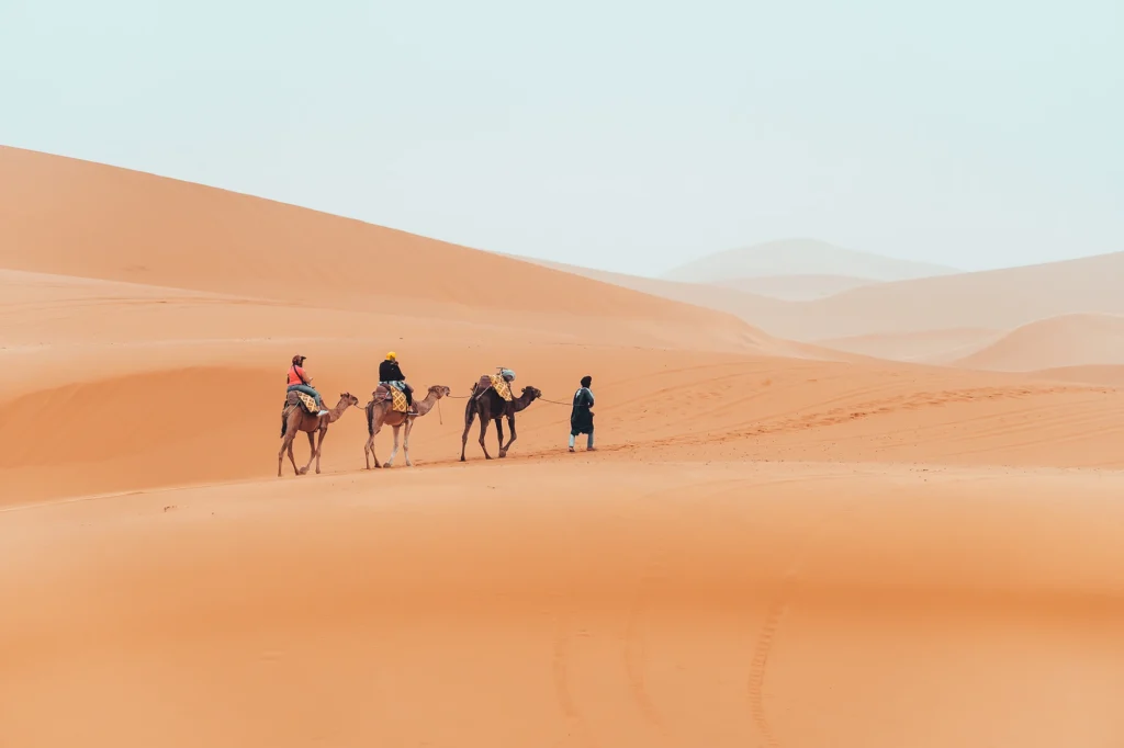 viaje familiar en el desierto